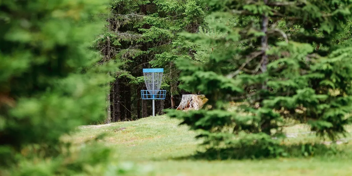 Disc golf basket in a forest course