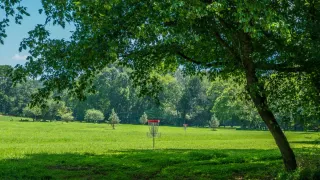 Disc golf course design