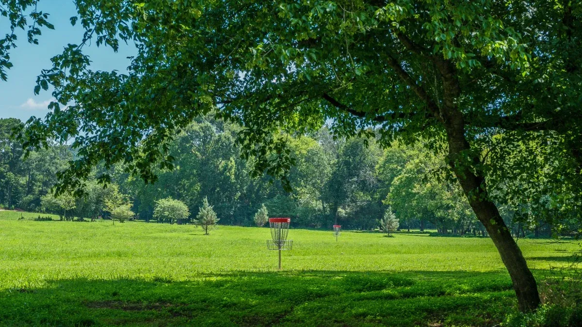 Disc golf course design